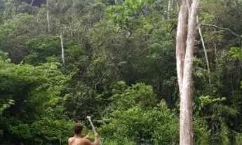 Imagem 6: Sítio no ariauzinho aqui no Iranduba