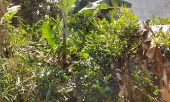 Imagem 6: TERRENO RESIDENCIAL/COMERCIAL A VENDA, 200M², CENTRO - GUARULHOS.GRU/SP