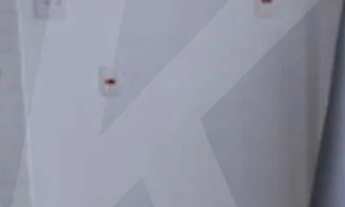 Imagem 2: Apartamento de 47 mts², 2 dormitórios, 1 vaga, no Parque Mandaqui