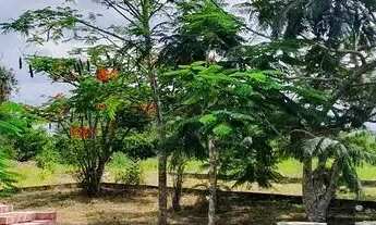 Imagem 13: Sapeaçu Ville, Loteamento escriturado, 300 m², frente Rodoviária Sapeaçu, infraestrutura