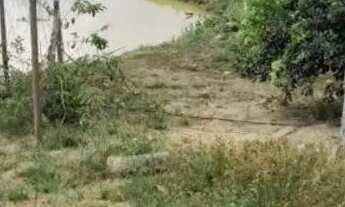 Imagem 7: Chácara Chácara com venda por R$130.000