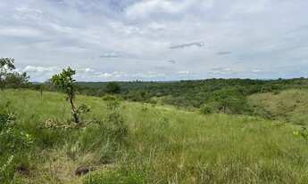 Imagem 7: Terrenos 20.000m2 a 35min da Cachoeira Grande com Financiamento Próprio