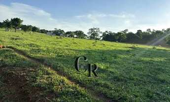 Imagem 5: Fazenda Extra em Trindade - GO