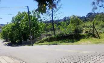 Imagem: CAXIAS DO SUL - Terreno Padrão - CRUZEIRO