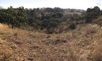 Imagem 4: Sítio município de Araguari