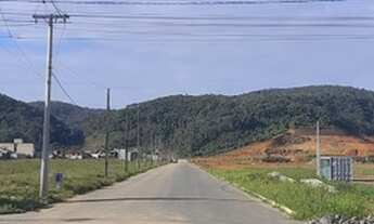 Imagem 3: Oportunidade!!!Terrenos em Guaramirim - Loteamento Laranjeiras