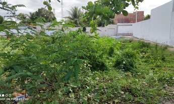 Imagem 2: Terreno Barra Nova!