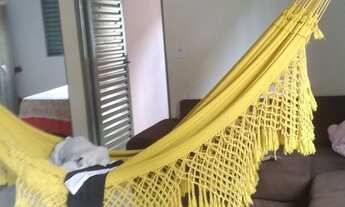 Imagem 3: Vende se casa com barracão