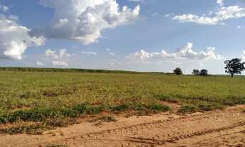 Imagem 7: Oportunidade Vendo Sítio com Área de 15.7 alqueires na região de Bauru