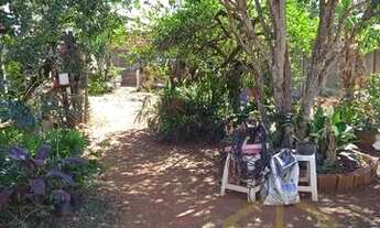 Imagem 6: Casa - Cidade Jardim I - Americana