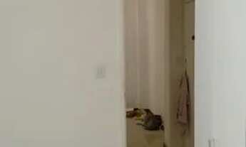 Imagem 2: Apartamento Copacabana, 01 quarto e sala separados RJ