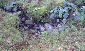 Imagem: Vende-se terra