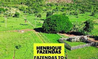 Imagem 7: Fazenda de cultura região de Palmas TAQUARALTO