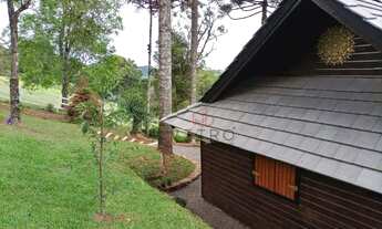 Imagem 3: Sítio na Linha Ávila em Gramado!