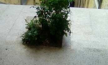 Imagem 5: Vendo - Prédio - Pelourinho - Bem localizado