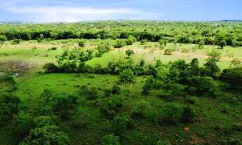 Imagem 5: Fazendinhas 20.000m2 Região com Muita Água e Terra de Cultura