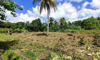 Imagem 4: Terreno 19x20 Terreno / lote com venda por R$120.000