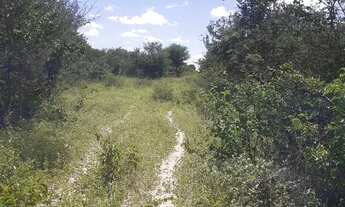 Imagem 5: Terreno para chácara e plantios valor 60.000