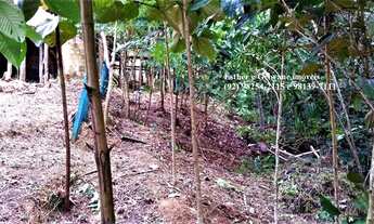 Imagem 5: Vende/Lote/Terreno/Condomínio Rio Rei/Ponta Negra/1.639m²/Manaus-AM/Financia