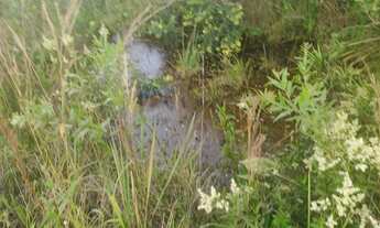 Imagem 4: Linda Chácara 3 km da BR. Boa de água. Piscina. casa boa..