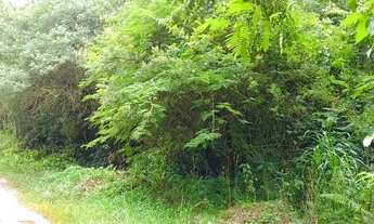 Imagem 7: Terreno em Itaiacoca