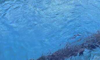 Imagem 4: Nexthouse Aluga Apartamento em Boa Viagem - 4 Qtos Suíte - Alto Padrão