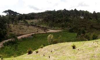 Imagem: Chácara Papanduva da Serra