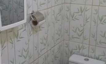 Imagem 6: Kitnet no Nova Cidade