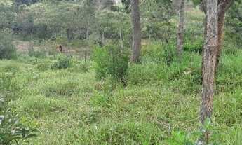 Imagem 3: Terreno para Venda em Esmeraldas, Melo Viana