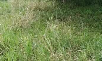 Imagem 4: Excelente terreno para venda, com excelente localização !!!