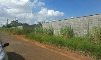 Imagem 6: área - Área Rural de Cosmópolis - Cosmópolis