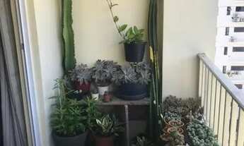 Imagem 6: Apartamento no Costa Azul