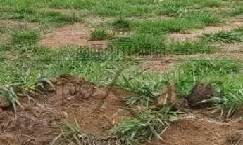 Imagem 4: Oportunidade - Terreno em Condomínio - Residencial Reserva Rudá - Bairro Floresta - 275m²