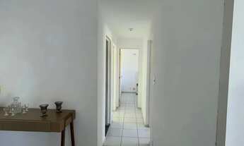 Imagem 6: Imóvel para aluguel possui 870 metros quadrados com 3 quartos em Jardim Eldorado - São Luí