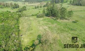Imagem 6: Propriedade com 4ha, 2 casas, 2 galpões, açude e piscina em Triunfo