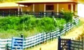 Imagem 6: Fazenda de Gado, Milho, Laranja, Camarão...