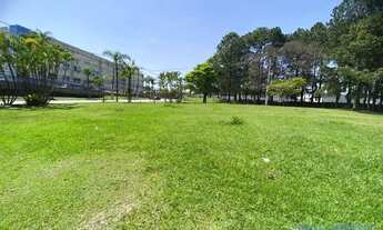 Imagem 5: TERRENO - TAMBORÉ - SP