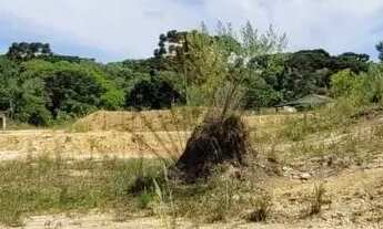 Imagem 3: Terreno à venda, 10246 m por R 2.499.000,00 - Centro - Tijucas do Sul PR