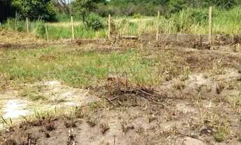 Imagem 5: Terreno à venda, Paracatu - Araruama/RJ