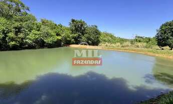 Imagem 4: Excelente Chácara 3 alqueires ( 14.52 hectares ) Bela Vista de Goiás