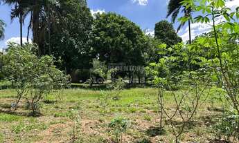 Imagem 6: Rural Chácara em São José do Rio Preto