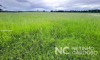 Imagem 7: Fazenda para Venda em Araruama, São Vicente de Paula