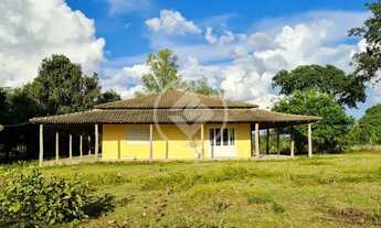 Imagem 4: Sitio com otima oportunidade de produtividade e lucratividade . codigo: 74117