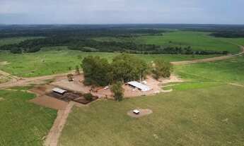 Imagem 3: Fazenda em Tocantins, Goianorte, Lavoura, Plantação, Soja