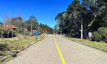 Imagem 6: Lote em Passeio Caaguas - Veraneio Hampel - São Francisco de Paula/RS