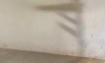 Imagem 5: ? OPORTUNIDADE NA LAGOA DAS FLORES - TERRENO AMPLO COM CASA EM FASE DE ACABAMENTO! ?