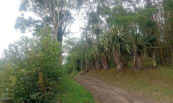 Imagem 5: 3 mil mts quadrados apenas 1 km da rodovia