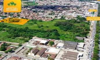 Imagem: Seu Apê MRV Próximo SMTT- Mata das Olivieras