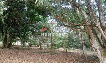 Imagem 5: Lote em Rua Pedro Antônio - Sapé I - Caçapava/SP