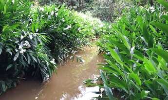 Imagem 4: Ótima chácara próximo a Bela Vista de Goiás